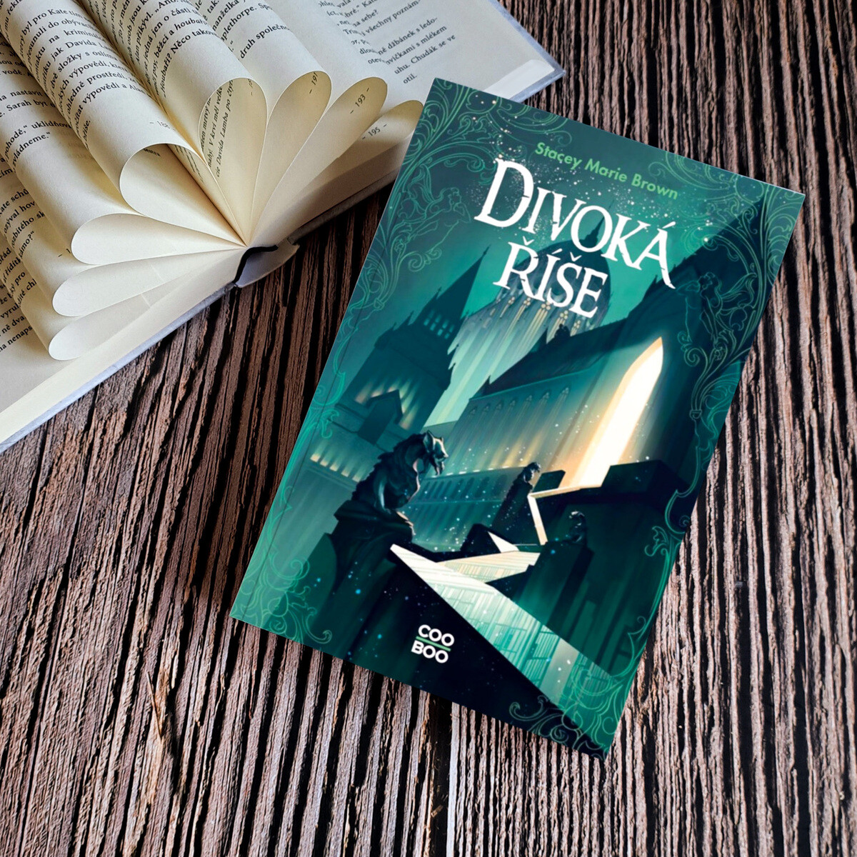 Divoká říše-recenze