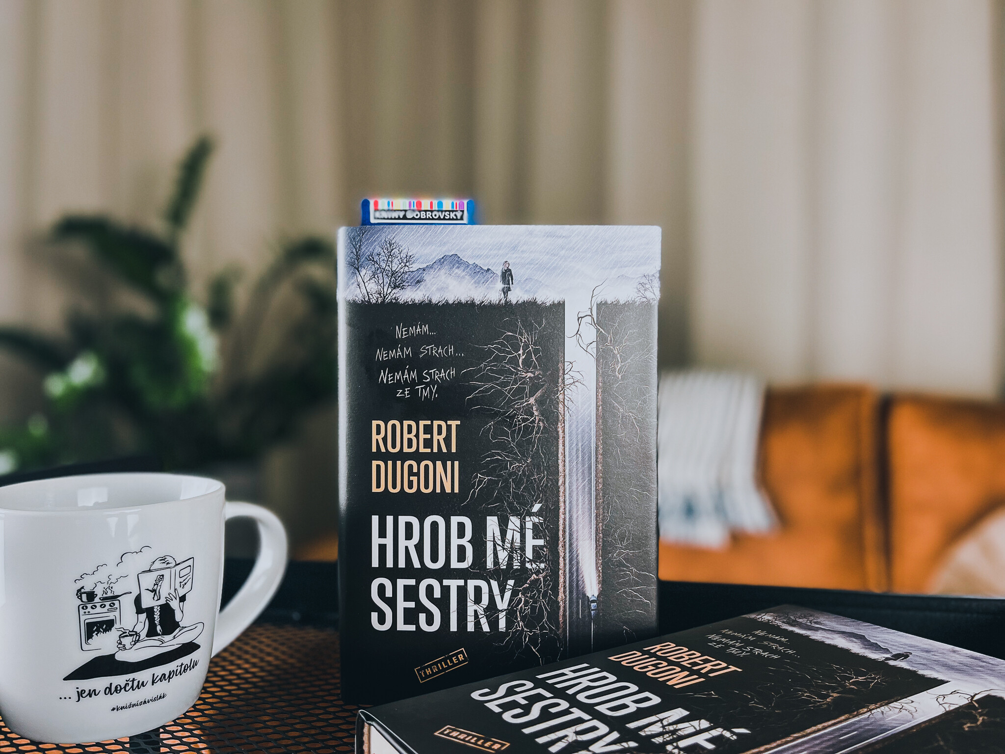 Kniha Hrob mé sestry-recenze