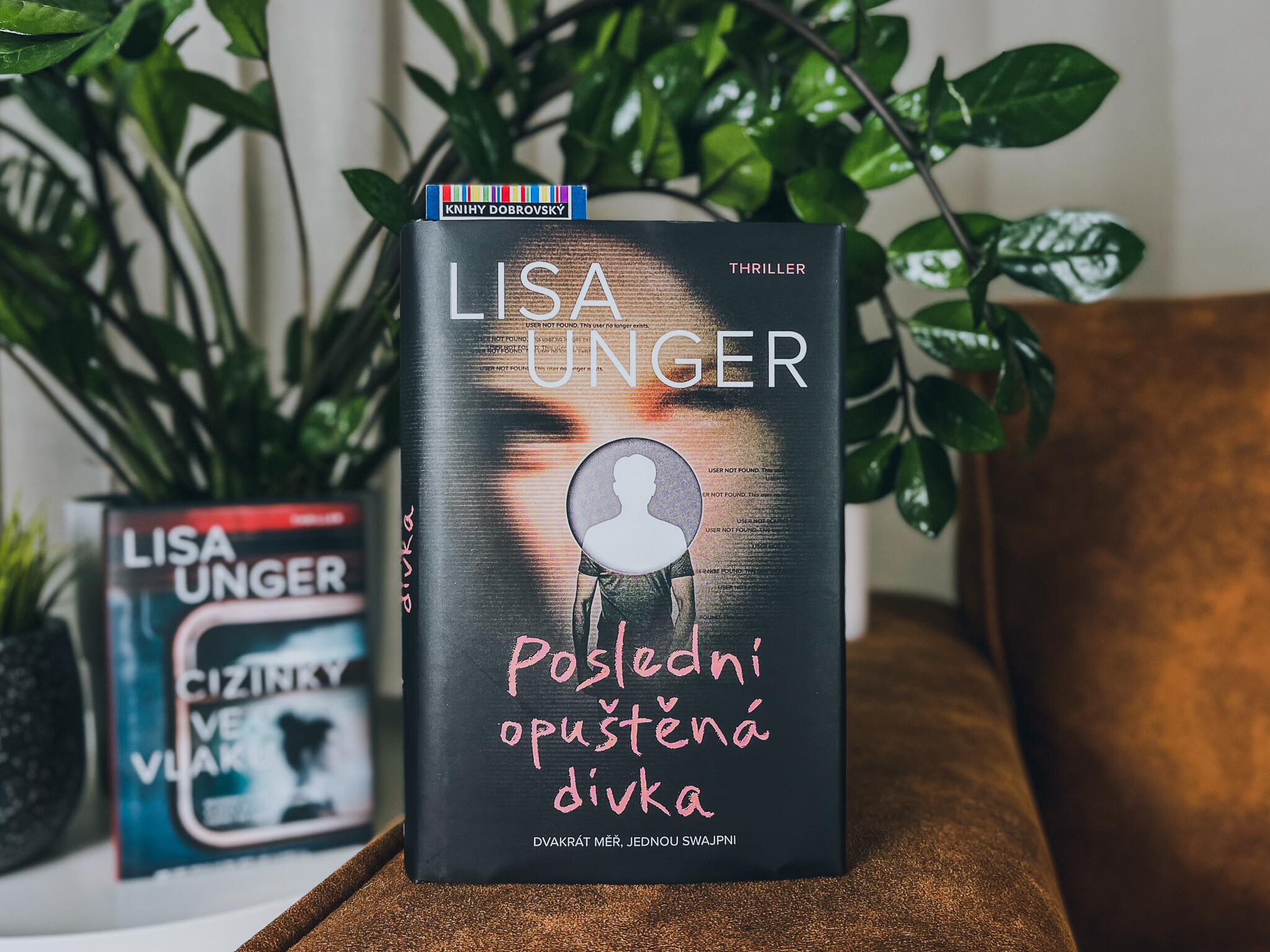 Kniha Poslední opuštěná dívka-recenze