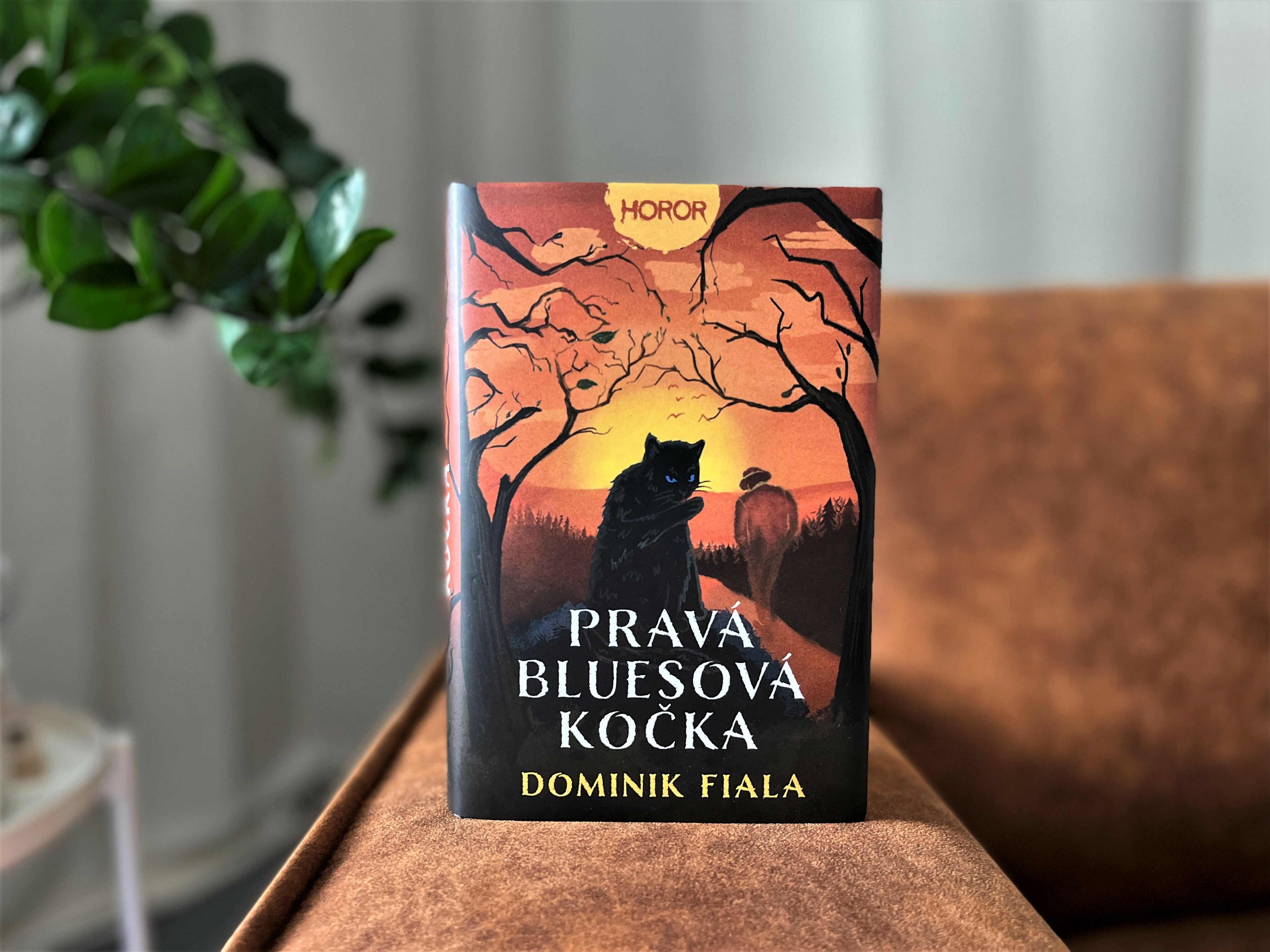 pravá bluesová kočka recenze