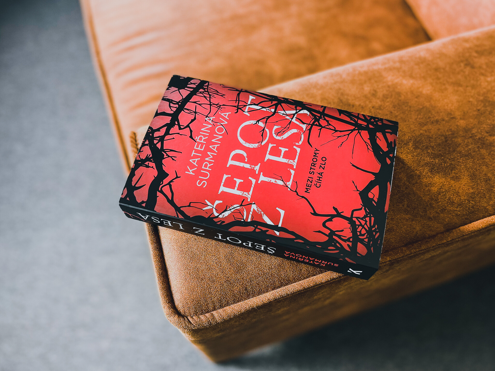 Kniha Šepot z lesa-recenze