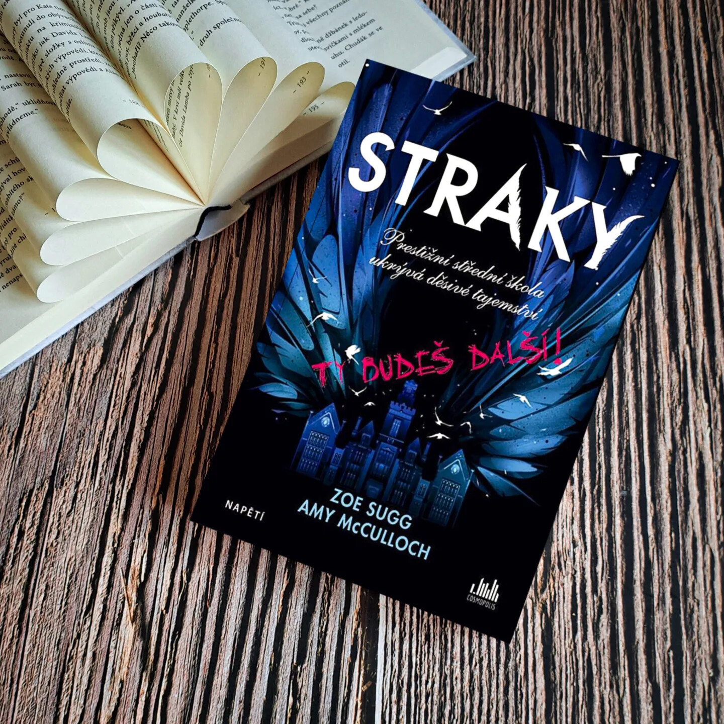 straky-recenze