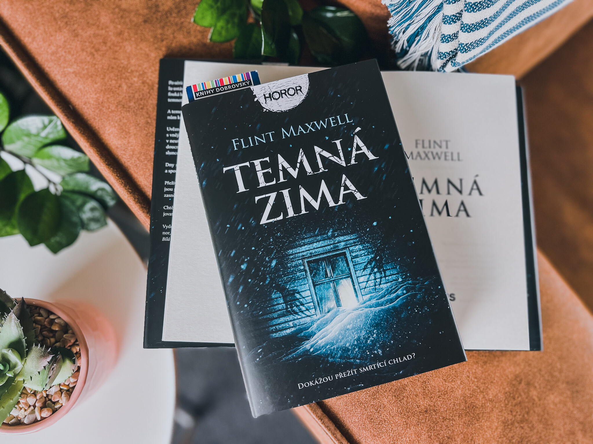 Temná zima-recenze