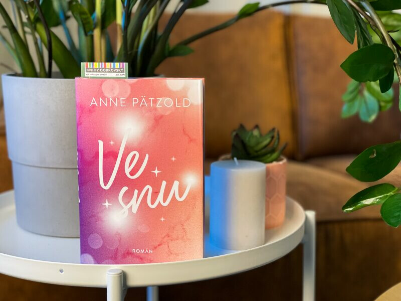 Ve snu-recenze