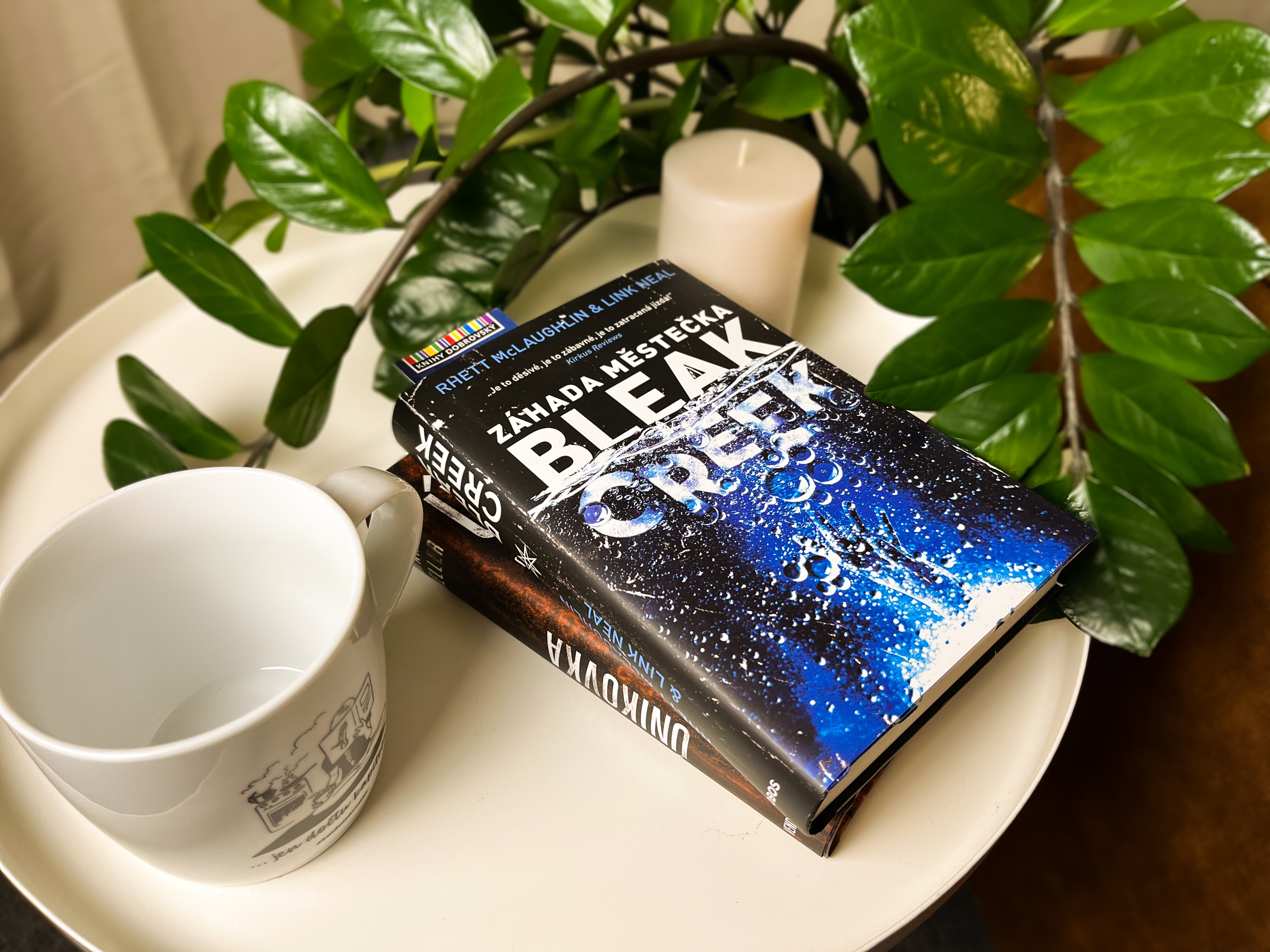 Záhada městečka Bleak Creek-recenze